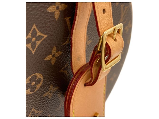 Borsa Louis Vuitton Monogram Petite Boite Chapeau Monogramma - vista 20