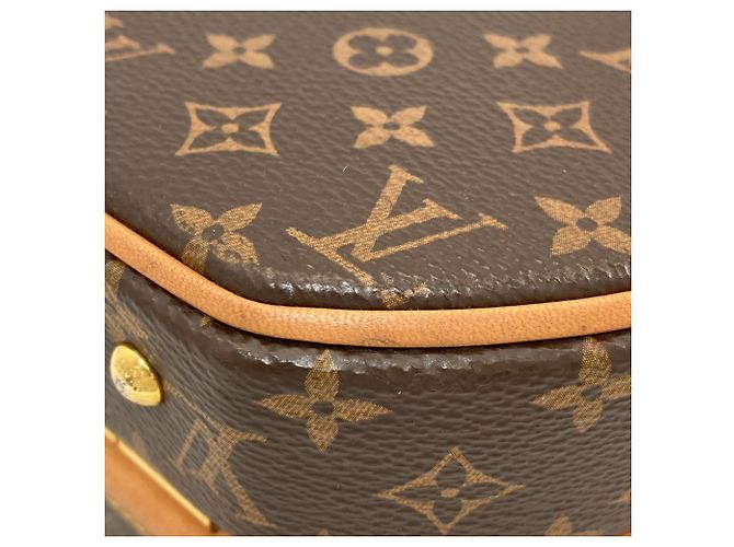 Borsa Louis Vuitton Monogram Petite Boite Chapeau Monogramma - vista 28
