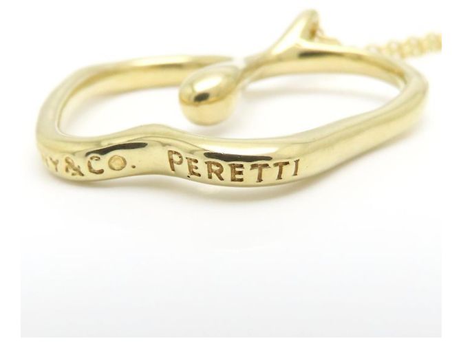 Collana a forma di Mela in Oro Giallo 18K di Tiffany & Co. D'oro - vista 6