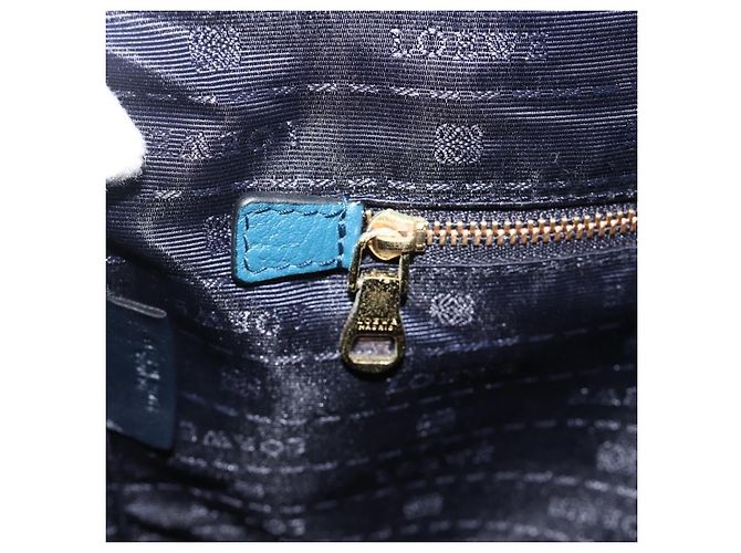 LOEWE Heritage Tote Bag aus Leder Gold Blau Auth 175236A Golden - Ansicht 20