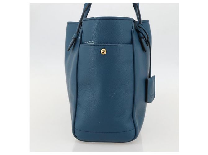 LOEWE Heritage Tote Bag aus Leder Gold Blau Auth 175236A Golden - Ansicht 3