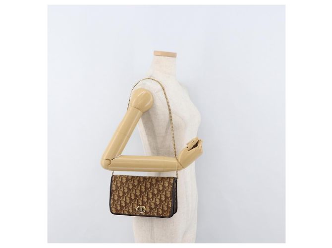 Borsa a spalla in tela Trotter Christian Dior marrone oro Auth 176488 D'oro - vista 22