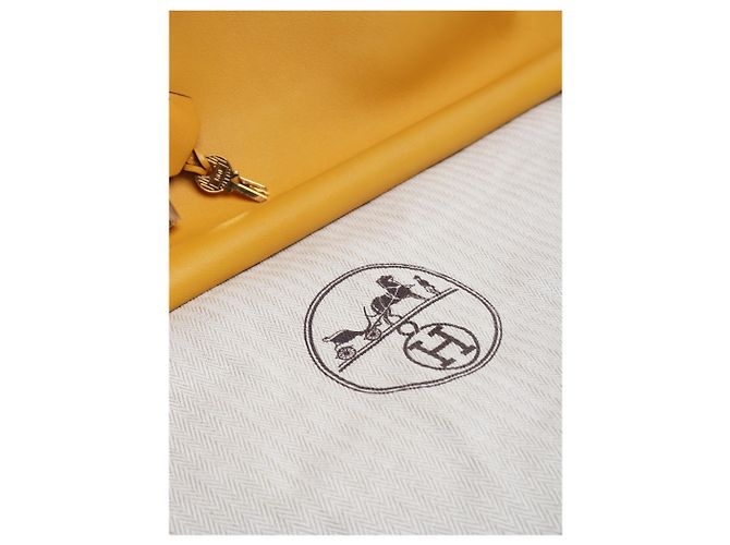 Hermès Borsa Birkin 35 Giallo Ambra 2009 - vista 10