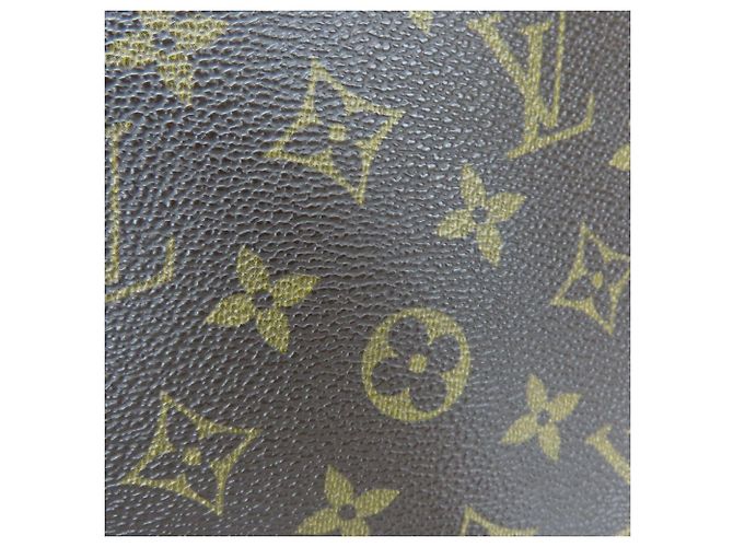 Borsa a Spalla Musette Salsa Monogramma Louis Vuitton Marrone - vista 6