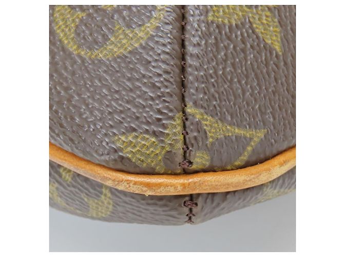 Borsa a Spalla Musette Salsa Monogramma Louis Vuitton Marrone - vista 9