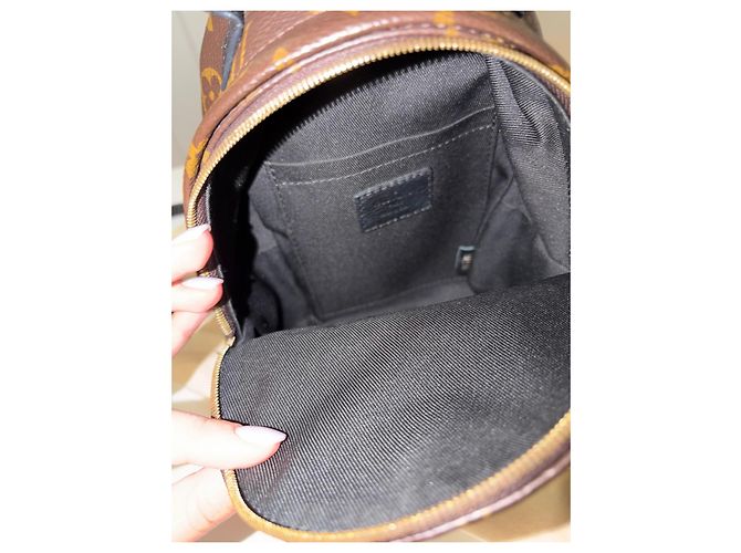 Louis Vuitton Monogram Canvas Palm Springs Mini Rucksack Braun Monogramm - Ansicht 5