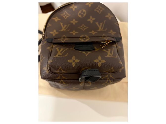 Louis Vuitton Monogram Canvas Palm Springs Mini Rucksack Braun Monogramm - Ansicht 7