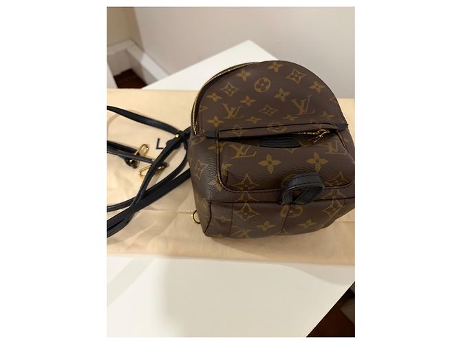Louis Vuitton Monogram Canvas Palm Springs Mini Rucksack Braun Monogramm - Ansicht 8