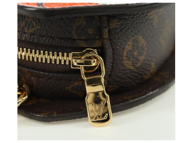 LOUIS VUITTON Monogram Portafoglio Sun Yitian On Chain Borsa Leopardo LV Auth YKZ1015SM Arancione - vista 23