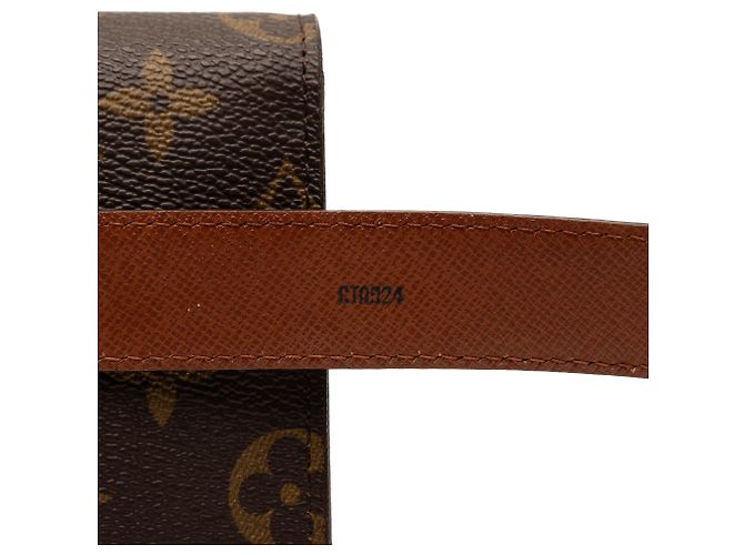 Arco Monogramma Marrone Louis Vuitton - vista 8