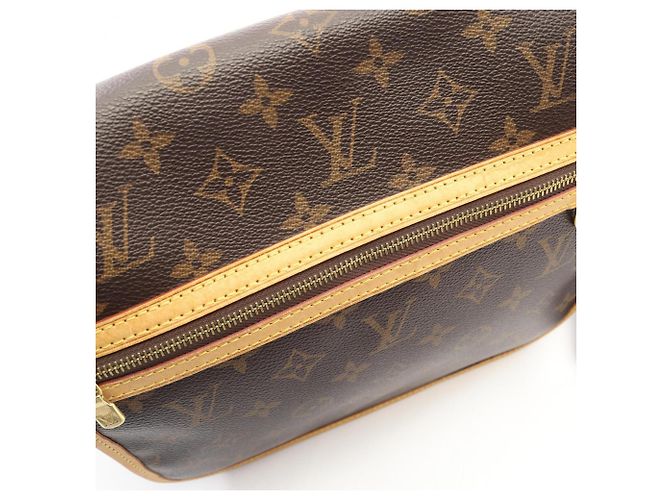 Borsa a Spalla Bosphore PM Louis Vuitton Marrone Monogramma - vista 11