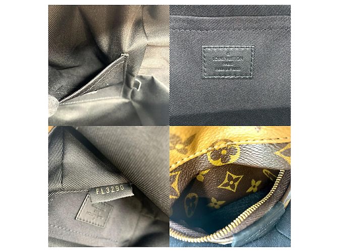 Louis Vuitton Palm Springs MINI Rucksack Braun Monogramm - Ansicht 7