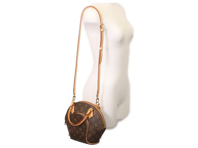 Borsa a Spalla Ellipse PM Monogramma Louis Vuitton Marrone - vista 12