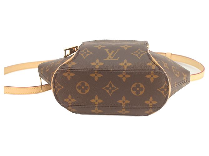 Borsa a Spalla Ellipse PM Monogramma Louis Vuitton Marrone - vista 5