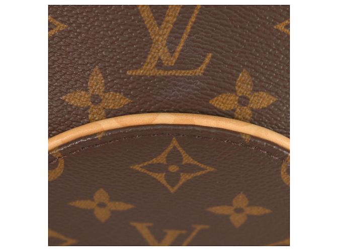 Borsa a Spalla Ellipse PM Monogramma Louis Vuitton Marrone - vista 8