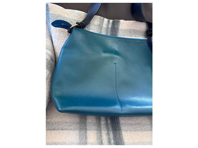 Céline Borsa in pelle Celine Twisted Cabas da donna Blu - vista 11