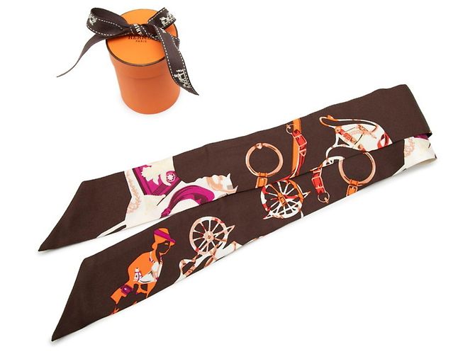 Sciarpa Muffler Hermès Twilly TOUT EN CARRE Marrone Multicolore - vista 5