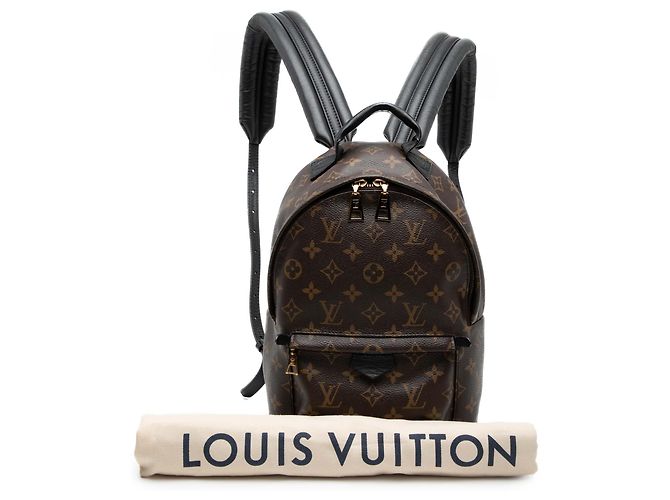 Louis Vuitton Braune Monogram Palm Springs PM - Ansicht 7