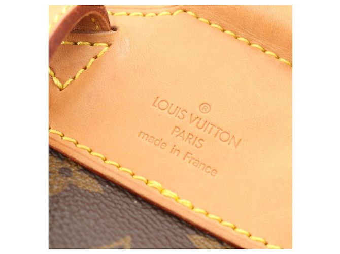 Zaino Montsouris MM Louis Vuitton Marrone Monogramma - vista 4
