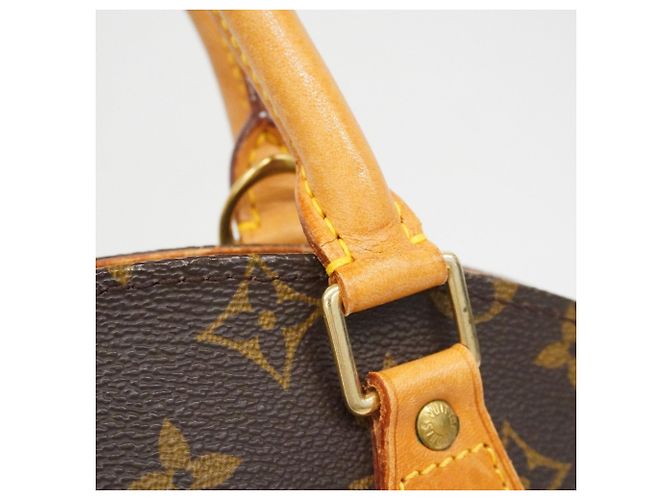 Borsa a mano Ellipse MM Monogramma Louis Vuitton Marrone - vista 12