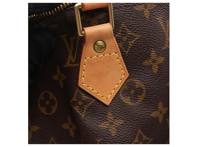 Borsa Louis Vuitton Speedy 40 Marrone Monogramma - vista 8