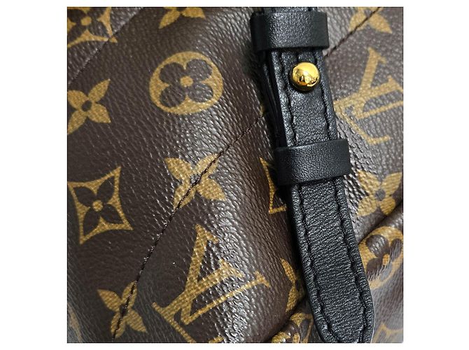 Louis Vuitton Zaino Palm Springs Mm Monogram Marrone - vista 7