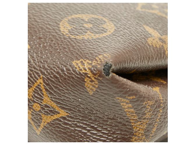 Borsa a tracolla Pallas Monogram Louis Vuitton Marrone Rosso Fuschia - vista 4