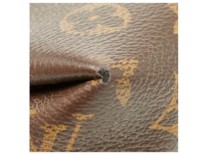 Borsa a tracolla Pallas Monogram Louis Vuitton Marrone Rosso Fuschia - vista 5
