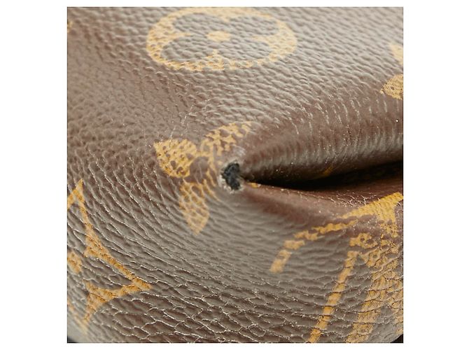 Borsa a tracolla Pallas Monogram Louis Vuitton Marrone Rosso Fuschia - vista 6