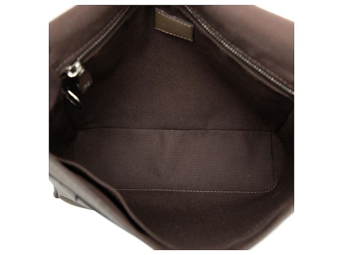 Louis Vuitton Marrone Taiga Roman PM Marrone chiaro - vista 4