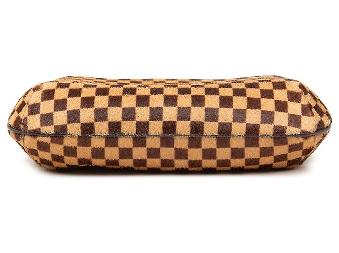 Louis Vuitton Marrone Damier Sauvage Tigre - vista 3