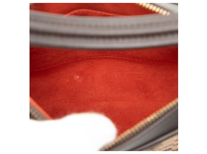 Louis Vuitton Marrone Damier Sauvage Tigre - vista 4
