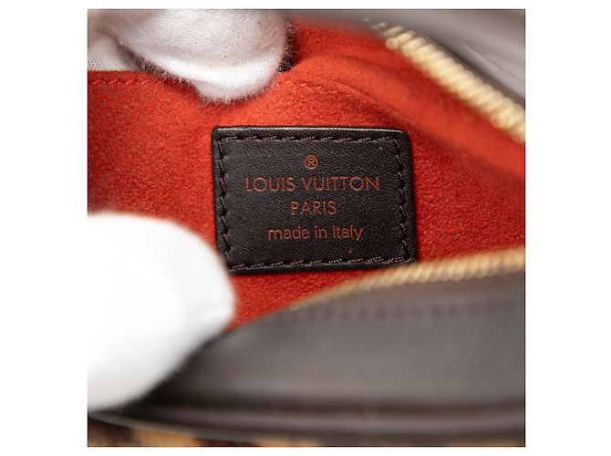 Louis Vuitton Marrone Damier Sauvage Tigre - vista 5