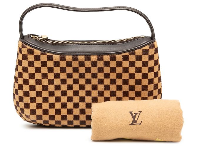 Louis Vuitton Marrone Damier Sauvage Tigre - vista 8