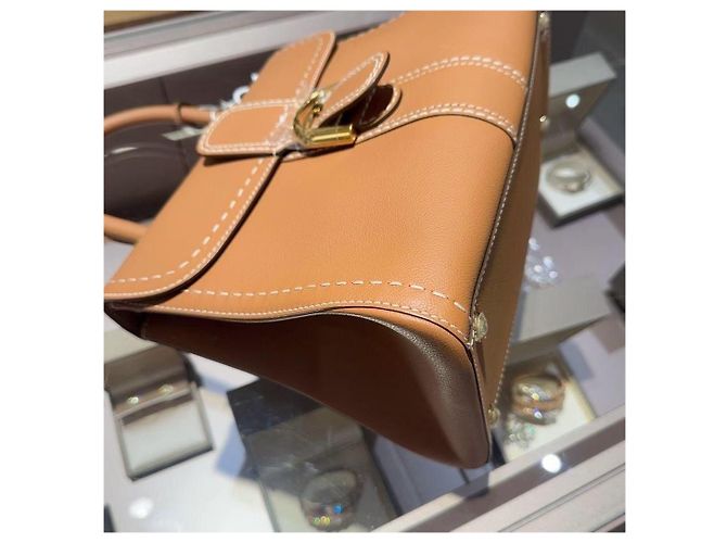 Borsa Delvaux Brilliant in pelle marrone - vista 6