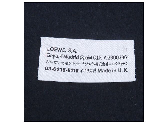 Stola Anagram in lana e cashmere Loewe Verde Blu navy - vista 7