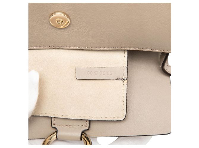 Mini borsa Faye in pelle di vitello e suede marrone Chloé con catena a tracolla Taupe - vista 6