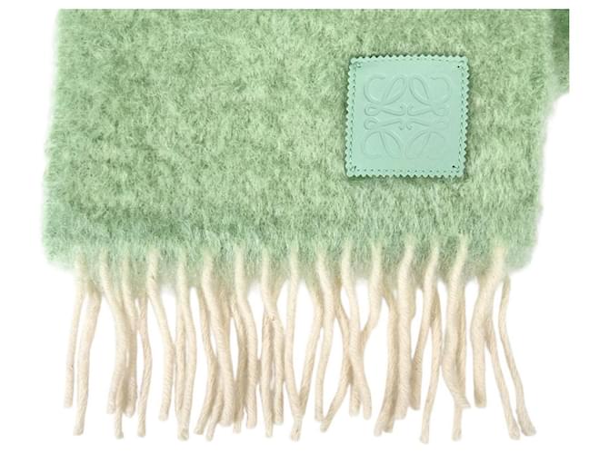 Sciarpa in Mohair e Lana Loewe Verde - vista 4