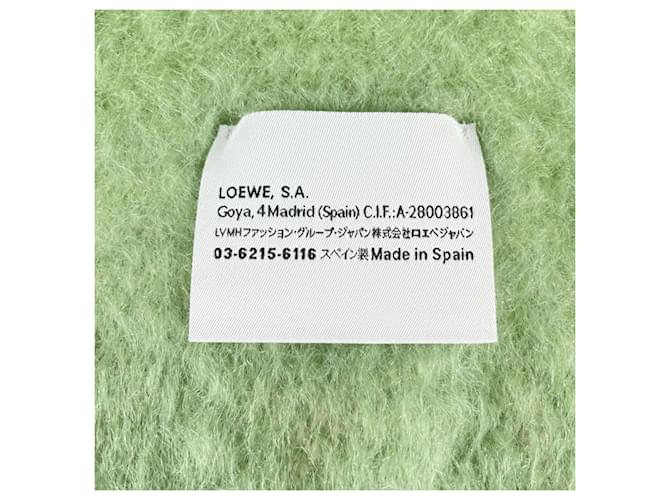 Sciarpa in Mohair e Lana Loewe Verde - vista 6