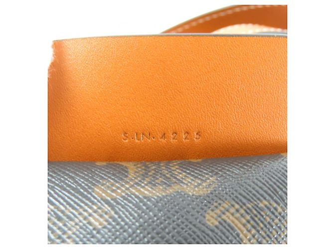 Céline Borsa Cubo Piccola Celine - Tela Logo Triomphe Miele Giallo - vista 11