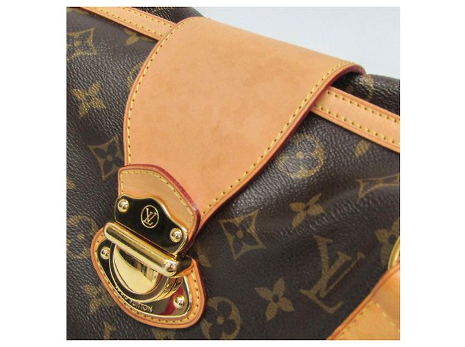 Borsa a Spalla Monogram Streza PM Louis Vuitton Monogramma - vista 8
