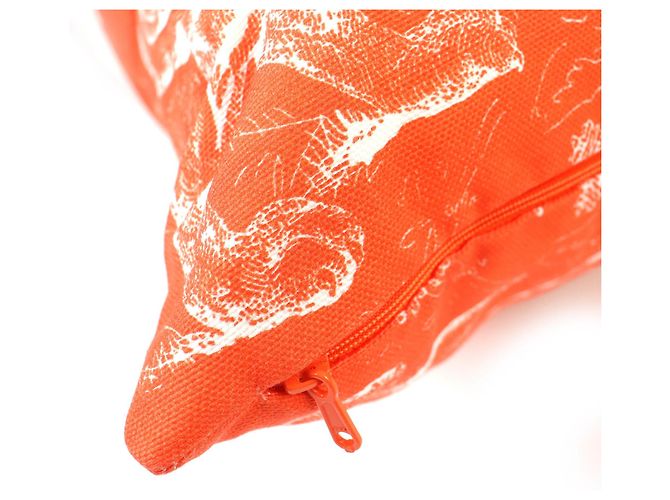 Coussin Dioliviera HYP02RCO0U de Christian Dior Orange - vue 5