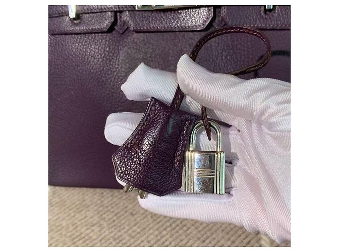 Hermès Birkin 25 Blu Mare in pelle di capra chiusura argento Viola scuro - vista 6