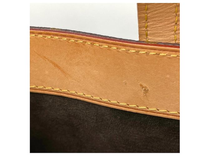 Borsa tote Louis Vuitton Wilshire PM Marrone - vista 8