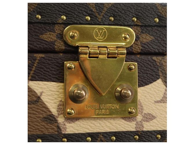 LOUIS VUITTON Monogram Borsa a Spalla Vertical Clutch Box M10247 LV Auth YKZ1537SM Monogramma - vista 21