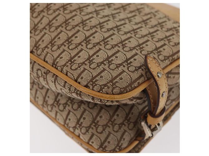 Borsa a Spalla Christian Dior Trotter in Tela Chic da Strada Beige Argento Auth 176137A - vista 16