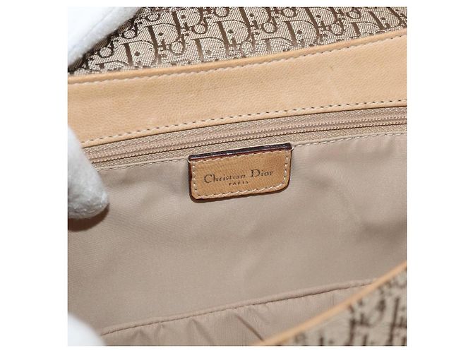 Borsa a Spalla Christian Dior Trotter in Tela Chic da Strada Beige Argento Auth 176137A - vista 19
