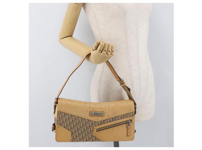 Borsa a Spalla Christian Dior Trotter in Tela Chic da Strada Beige Argento Auth 176137A - vista 24