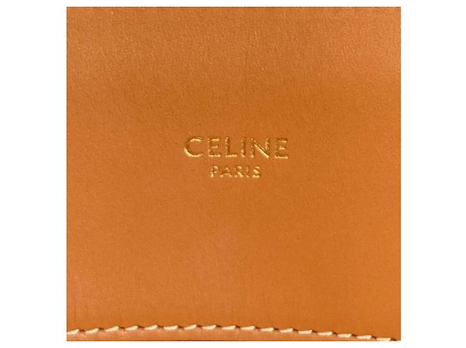 Céline Borsa a mano verticale Cabas 2 in 1 Celine Marrone Bianco - vista 6