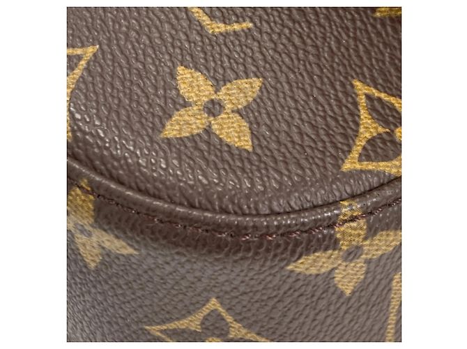 Borsa a Spalla Mini Saint Cloud di Louis Vuitton Monogramma - vista 27